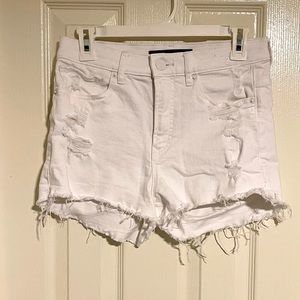 Express Shorts